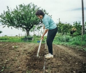 Grelinette : 7 utilisations un sol vivant et fertile