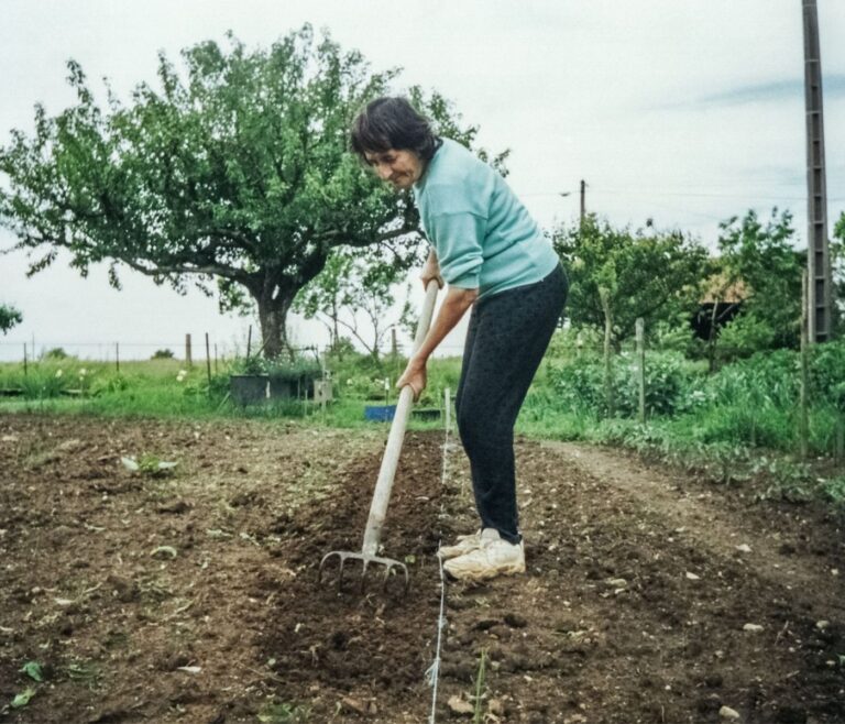 Grelinette : 7 utilisations un sol vivant et fertile 6 Grelinette : 7 utilisations un sol vivant et fertile